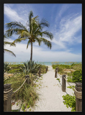 Path to the beach Poster