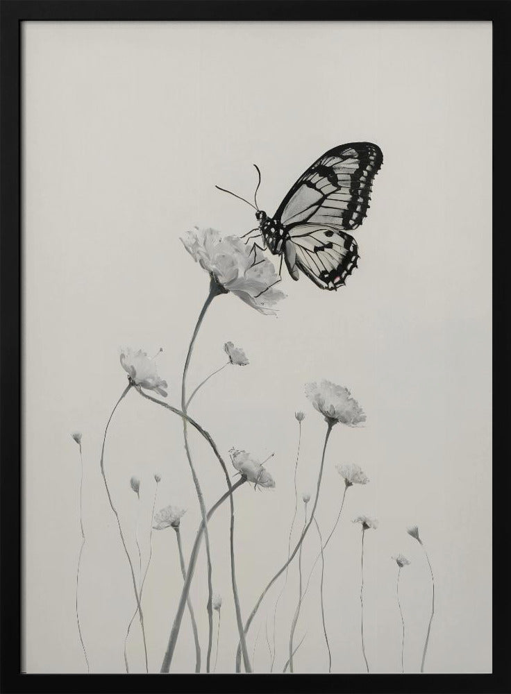 Butterfly and Flowers Poster