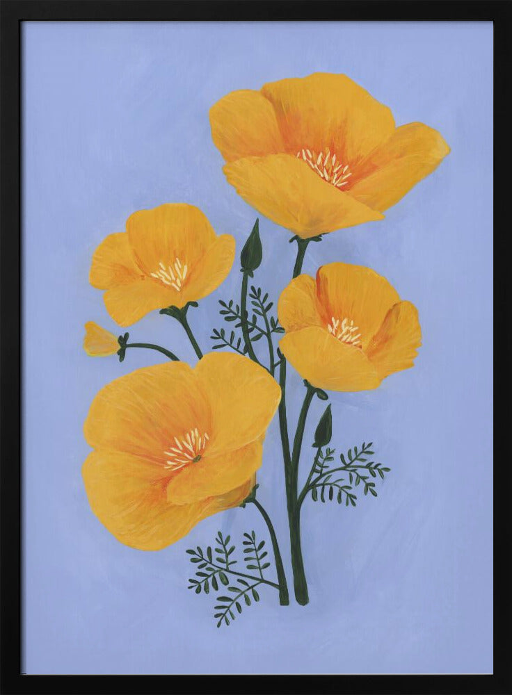 Bouquet of orange California poppies Poster