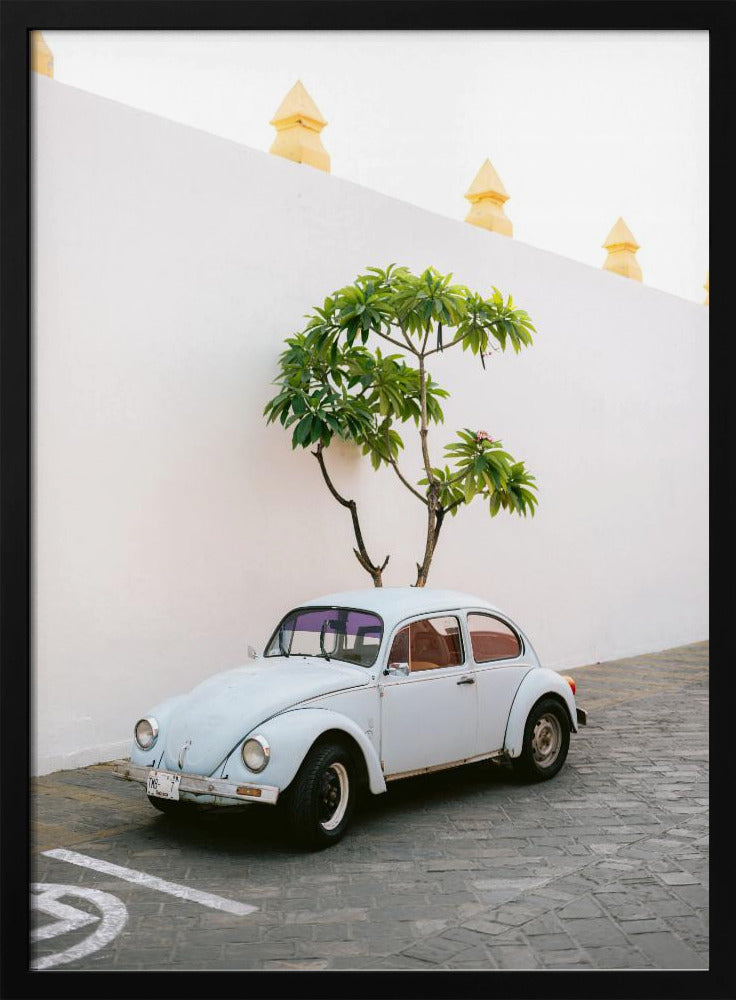 Pastel Volskwagen Beetle in the streets of Oaxaca Mexico Poster