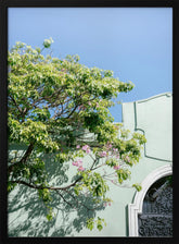 Pastel Oaxaca Architecture | Mexico travel photography Poster