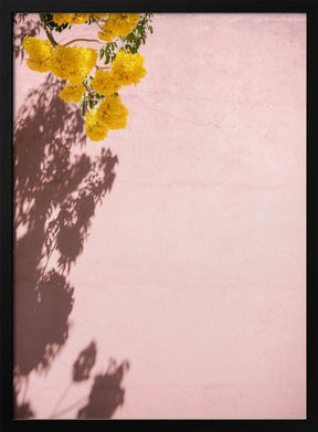 Yellow and Pink | Oaxaca Mexico Poster