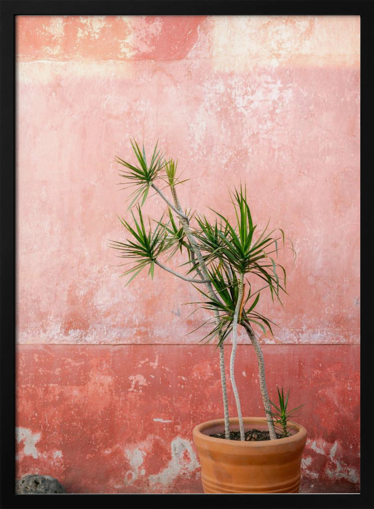 Botanical Oaxaca | Mexico travel photography Poster