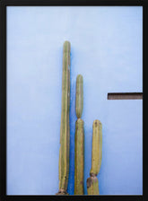 Tall Cacti on Blue | Oaxaca Mexico Travel Poster