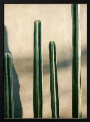 Oaxaca Shades of Green | Mexico travel photography Poster