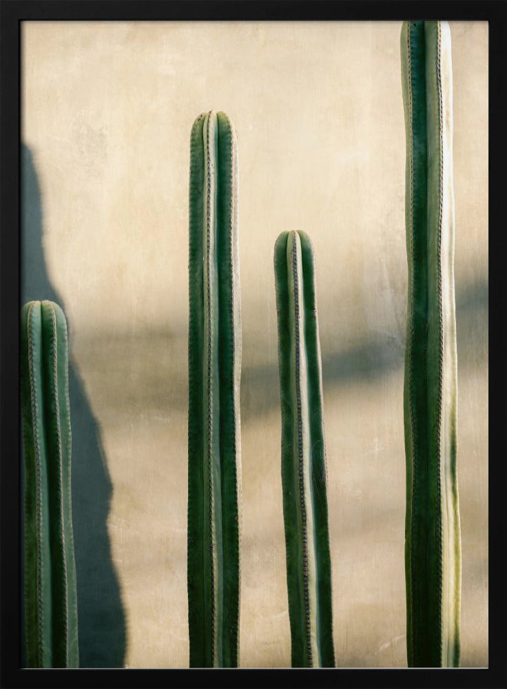 Oaxaca Shades of Green | Mexico travel photography Poster