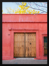 The Wooden Door | Botanical Oaxaca Mexico Poster