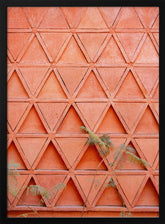 Coral details of Oaxacan Architecture in Mexico Poster