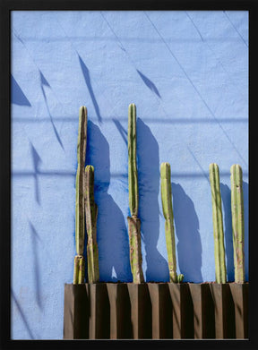 Tall Cacti | Oaxaca Mexico travel photography Poster