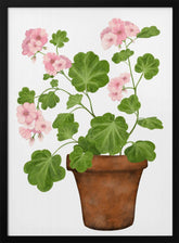 Pink Geranium Poster