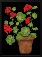 Red Geranium Poster