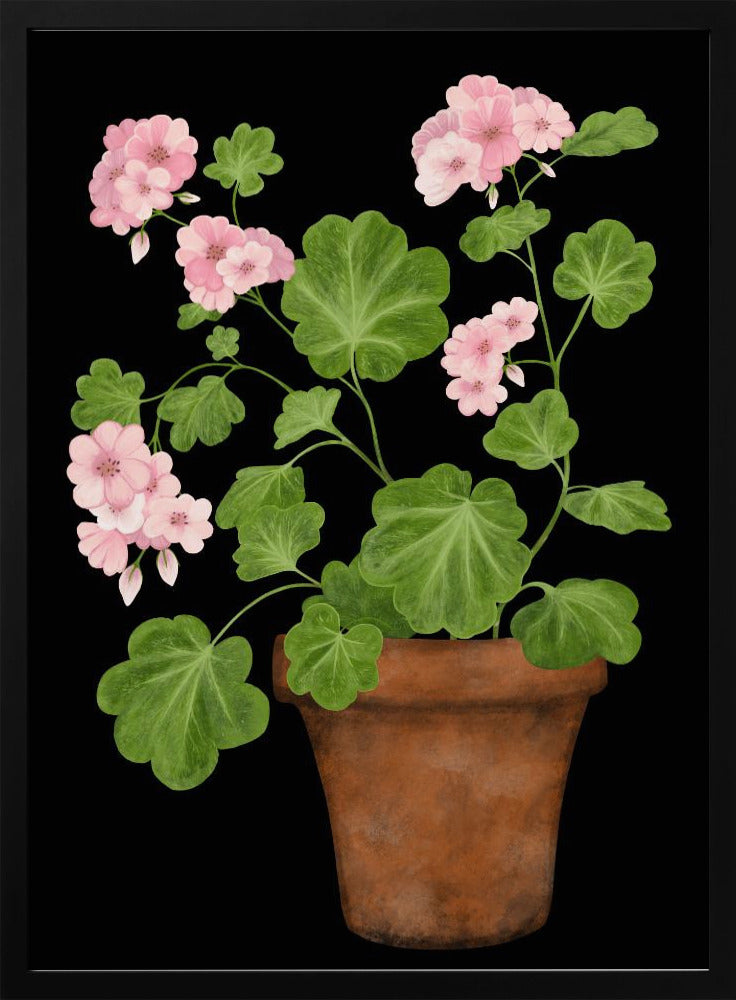 Pink Geranium Poster