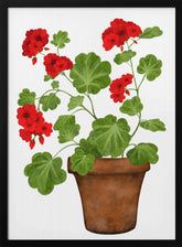 Red Geranium Poster