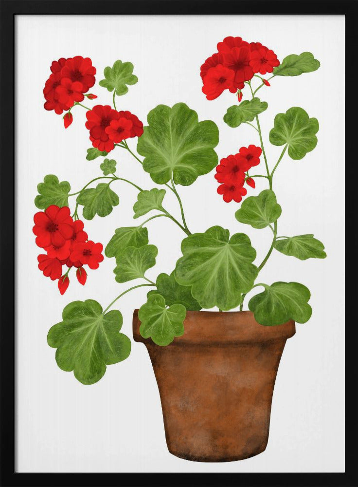 Red Geranium Poster