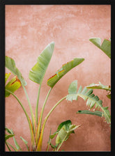 Palms of Ourika Morocco Poster