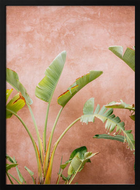 Palms of Ourika Morocco Poster