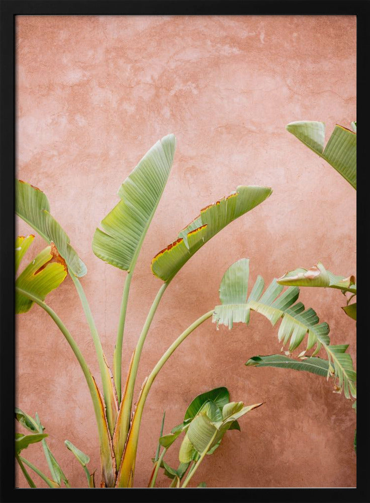 Palms of Ourika Morocco Poster