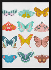 Butterfly Poster