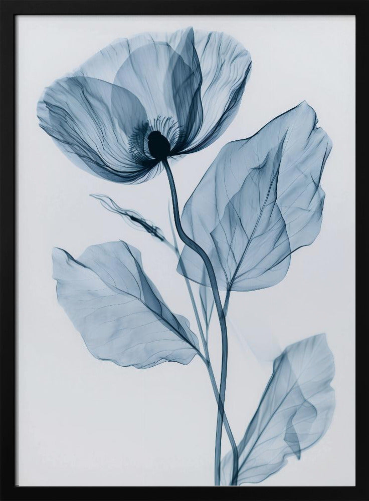 X-Rayed Flower Poster