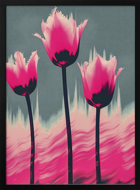 The Tulips Poster