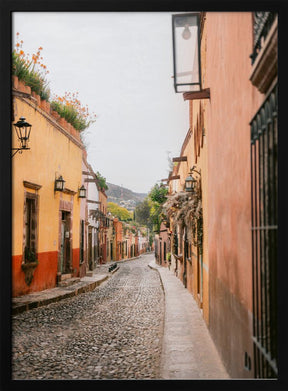 San Miguel de Allende | Mexico travel photography Poster