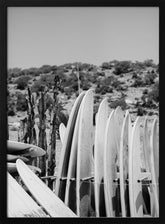 Surfboards in Black and White Poster