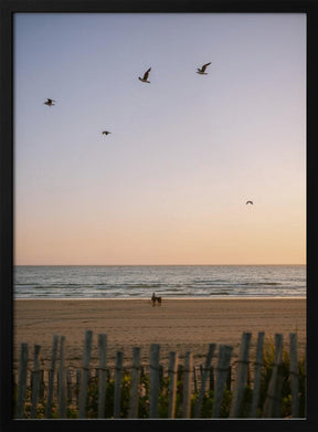 Moroccan Coast Sunset Poster