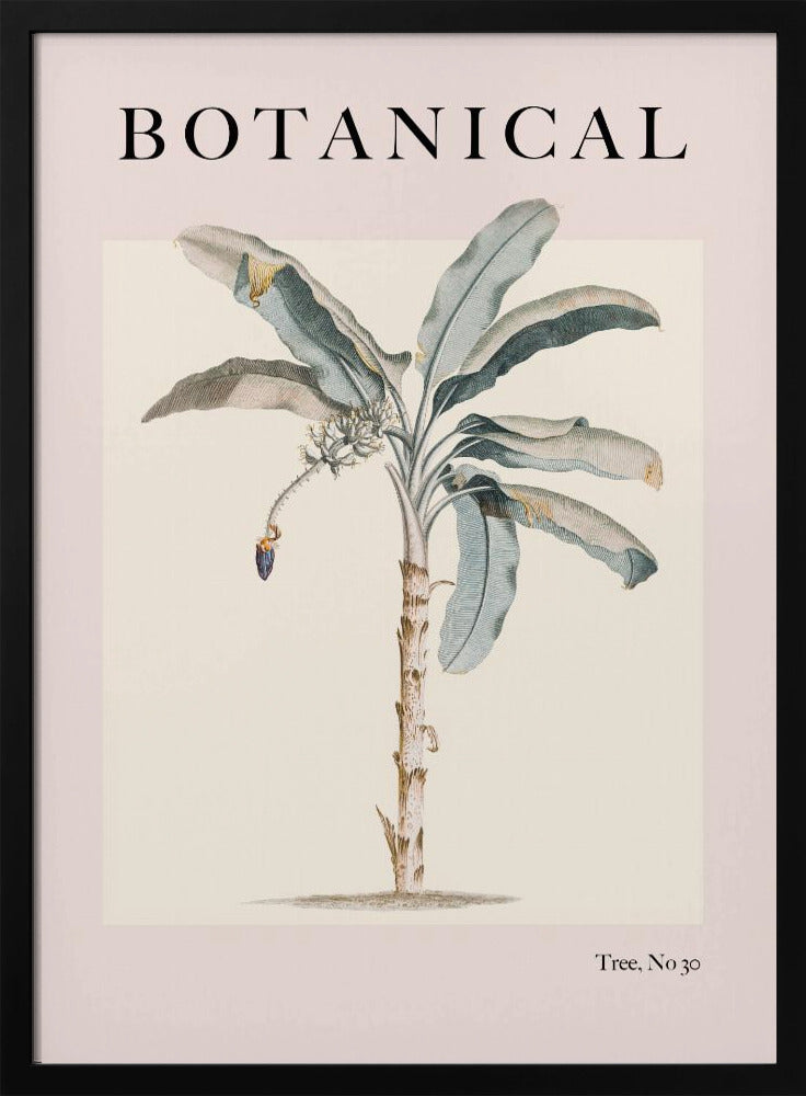 Botanicalno30 Ratioiso Poster