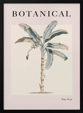 Botanicalno30 Ratioiso Poster