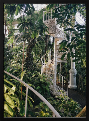 Palmhouse Ratio2x3 Poster