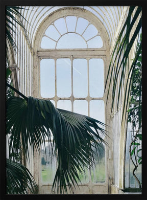 Palmhouse Ratio2x3 Copy Poster