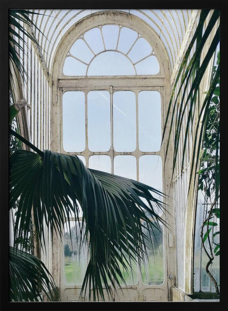 Palm House Windows Poster