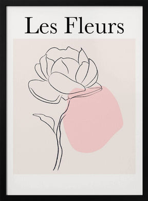 Lesfleurs1 Ratioiso Poster