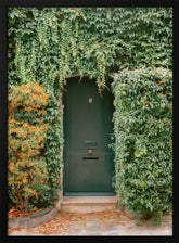 Ivy Covered House In Montmartre Paris Poster