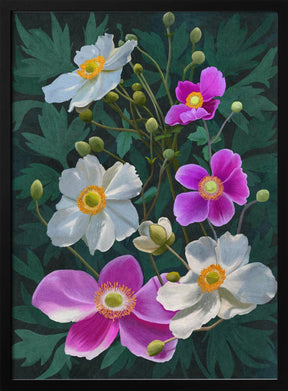 Anemone Flowers Poster