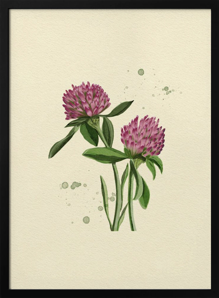 Red Clover Poster