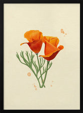 California Poppy Poster