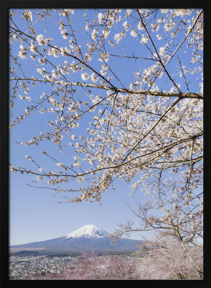 Charming view of Mount Fuji with cherry blossoms	 Poster