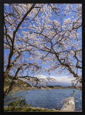 Charming Lake Tanuki with Mount Fuji Poster