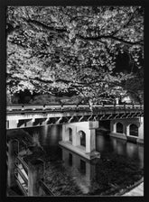 Charming Nakabashi Bridge in the evening - monochrome Poster