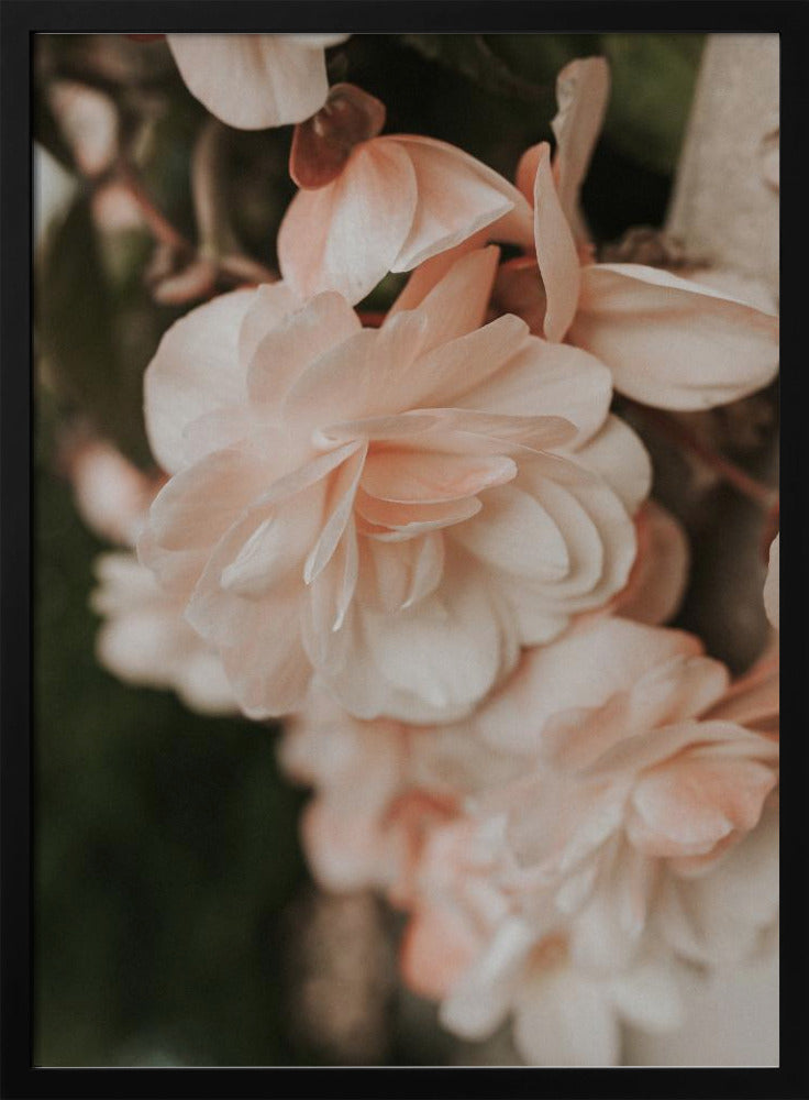 Pastel Flowers Poster