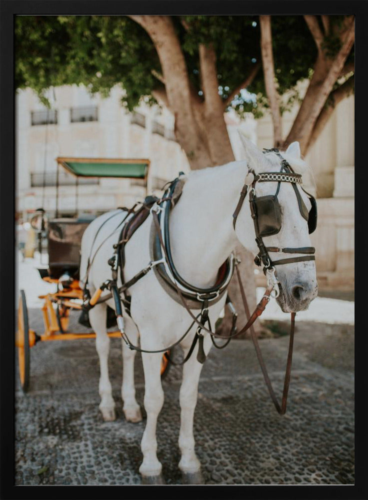 Sevilla White Horse Poster