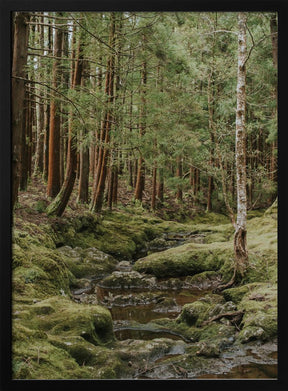 Green Forest Poster