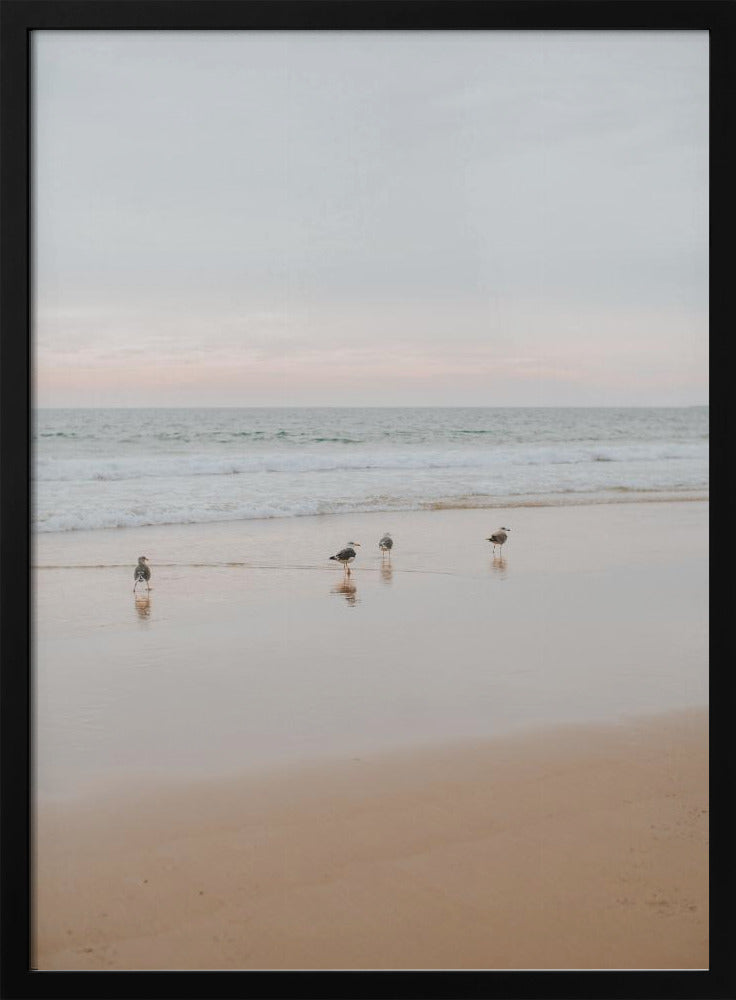 Four Seagulls Poster