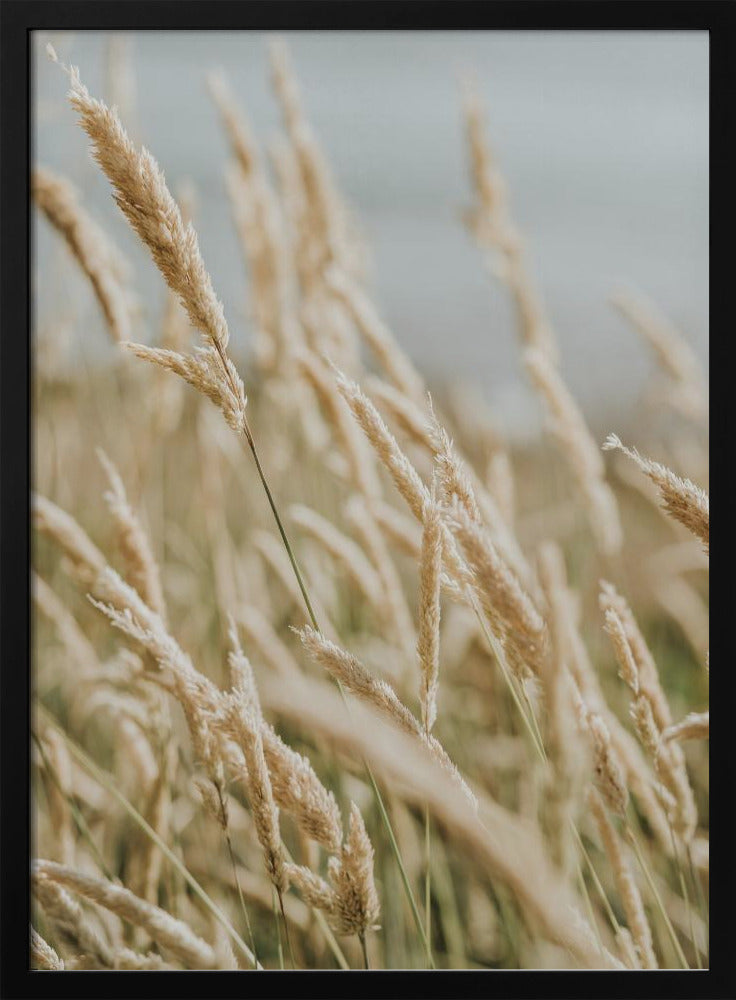 Beach Flora Poster