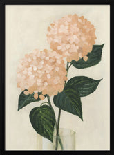 Coral hydrangeas in a vase Poster