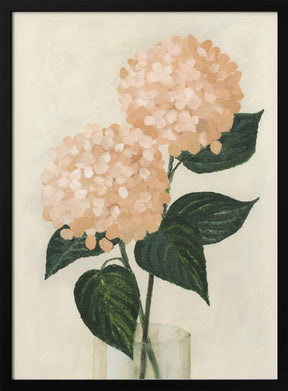 Coral hydrangeas in a vase Poster