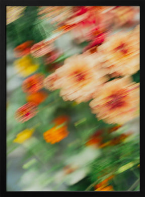 Moving Flowers 6 Poster