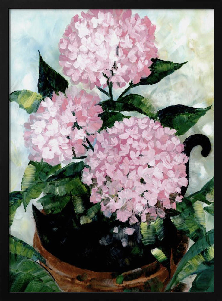 Potted pink hydrangeas Poster