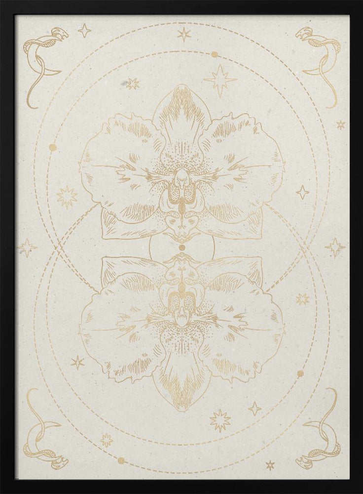 The mystical orchid Poster